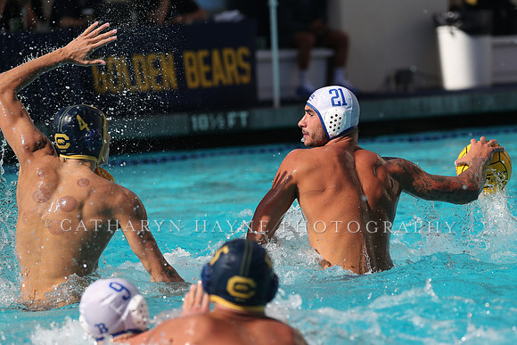 Collegiate Men's Water Polo: California Golden Bears vs UCLA Bruins