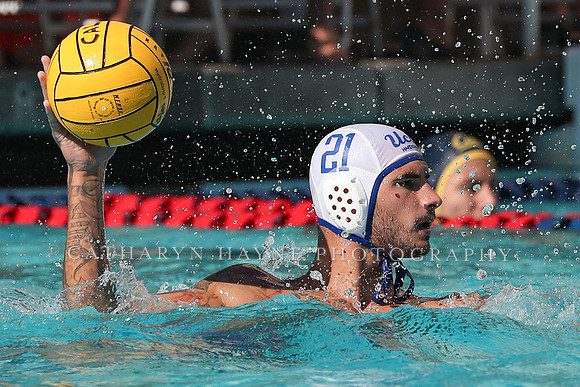 Collegiate Men's Water Polo: California Golden Bears vs UCLA Bruins