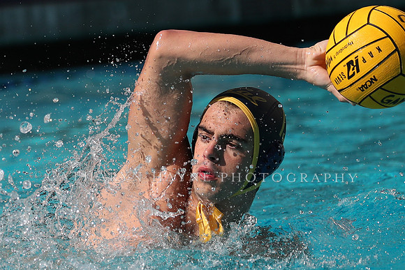 Collegiate Men's Water Polo: California Golden Bears vs UCLA Bruins