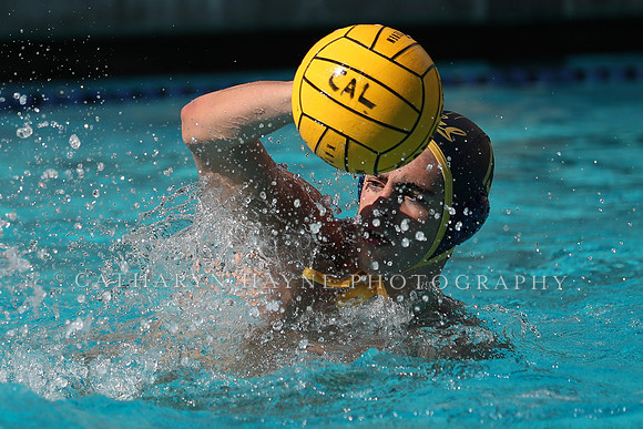 Collegiate Men's Water Polo: California Golden Bears vs UCLA Bruins