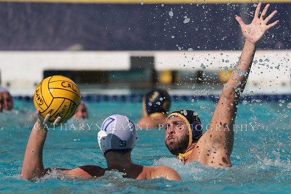 Collegiate Men's Water Polo: California Golden Bears vs UCLA Bruins