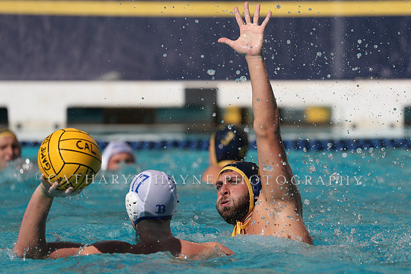 Collegiate Men's Water Polo: California Golden Bears vs UCLA Bruins