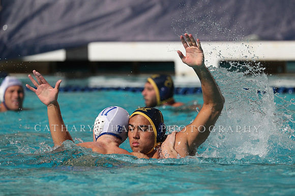 Collegiate Men's Water Polo: California Golden Bears vs UCLA Bruins