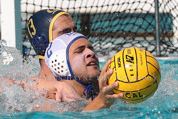 Collegiate Men's Water Polo: California Golden Bears vs UCLA Bruins