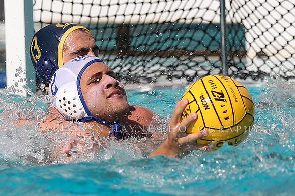 Collegiate Men's Water Polo: California Golden Bears vs UCLA Bruins