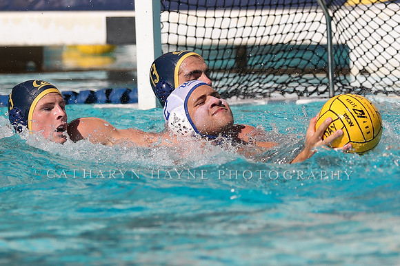 Collegiate Men's Water Polo: California Golden Bears vs UCLA Bruins