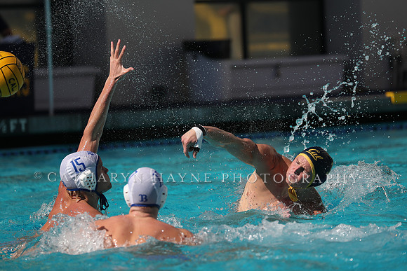 Collegiate Men's Water Polo: California Golden Bears vs UCLA Bruins