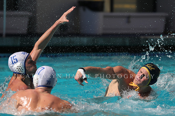 Collegiate Men's Water Polo: California Golden Bears vs UCLA Bruins