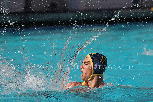 Collegiate Men's Water Polo: California Golden Bears vs UCLA Bruins