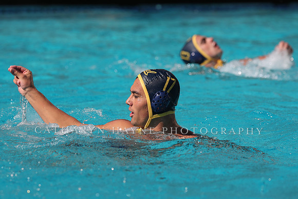 Collegiate Men's Water Polo: California Golden Bears vs UCLA Bruins