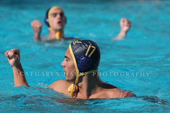 Collegiate Men's Water Polo: California Golden Bears vs UCLA Bruins