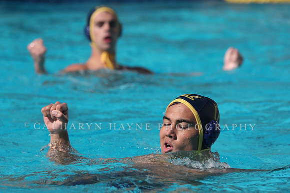 Collegiate Men's Water Polo: California Golden Bears vs UCLA Bruins