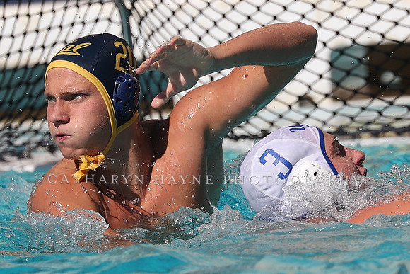 Collegiate Men's Water Polo: California Golden Bears vs UCLA Bruins