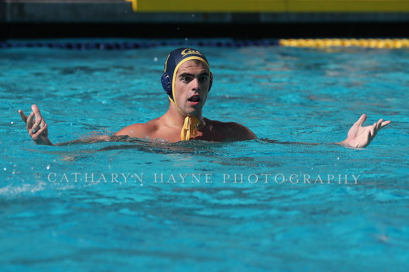 Collegiate Men's Water Polo: California Golden Bears vs UCLA Bruins