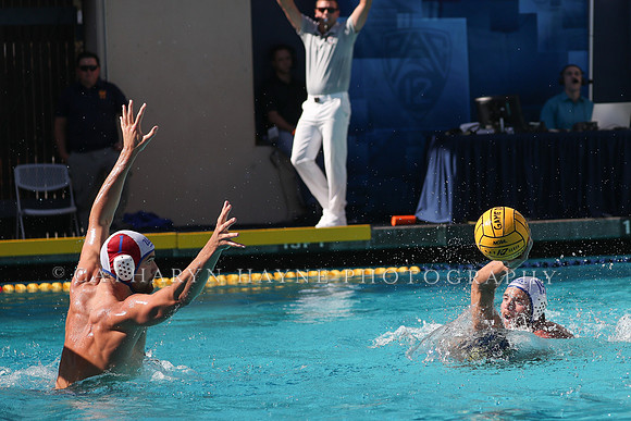 Collegiate Men's Water Polo: California Golden Bears vs UCLA Bruins