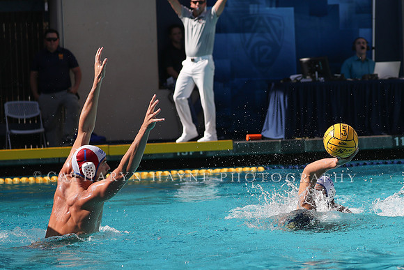 Collegiate Men's Water Polo: California Golden Bears vs UCLA Bruins