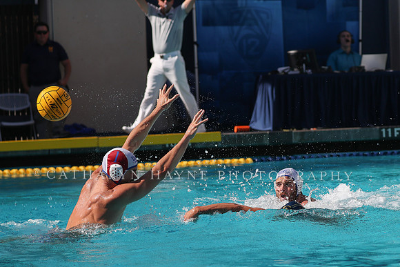 Collegiate Men's Water Polo: California Golden Bears vs UCLA Bruins