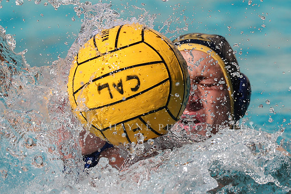 Collegiate Men's Water Polo: California Golden Bears vs UCLA Bruins