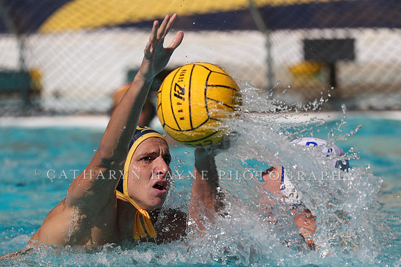 Collegiate Men's Water Polo: California Golden Bears vs UCLA Bruins
