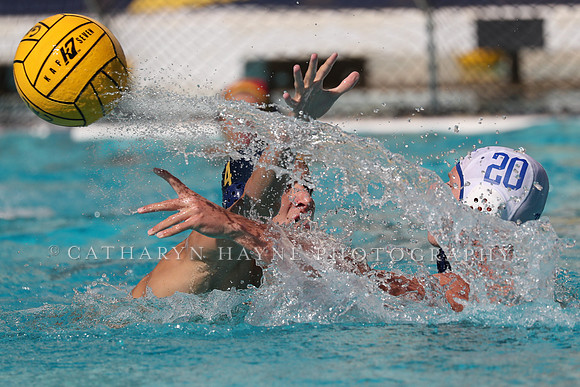Collegiate Men's Water Polo: California Golden Bears vs UCLA Bruins