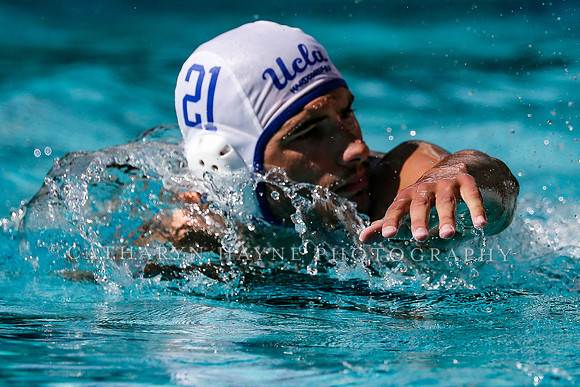 Collegiate Men's Water Polo: California Golden Bears vs UCLA Bruins