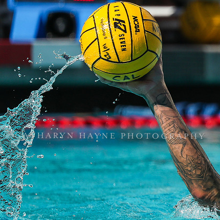 Collegiate Men's Water Polo: California Golden Bears vs UCLA Bruins