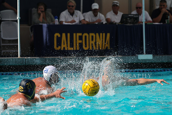 Collegiate Men's Water Polo: California Golden Bears vs UCLA Bruins