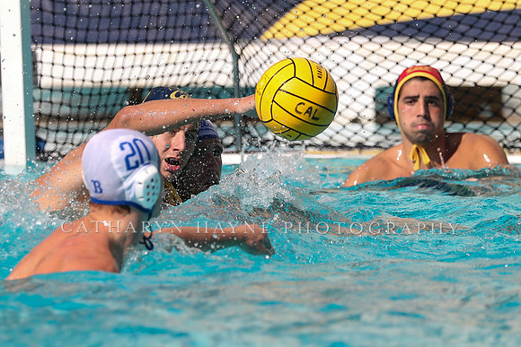 Collegiate Men's Water Polo: California Golden Bears vs UCLA Bruins