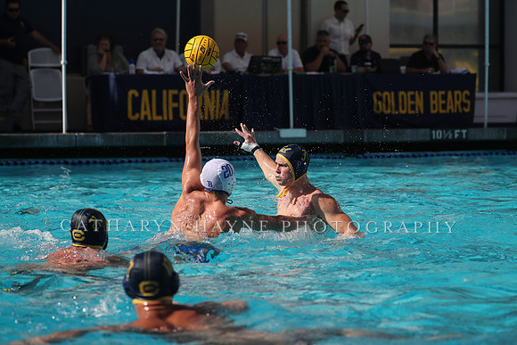 Collegiate Men's Water Polo: California Golden Bears vs UCLA Bruins