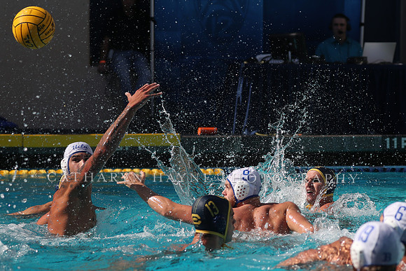 Collegiate Men's Water Polo: California Golden Bears vs UCLA Bruins