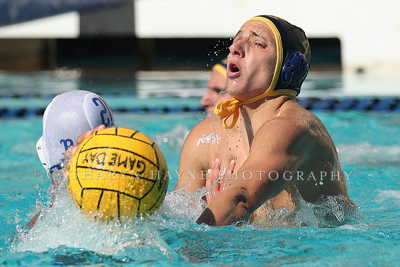Collegiate Men's Water Polo: California Golden Bears vs UCLA Bruins