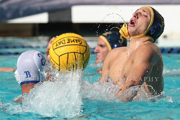 Collegiate Men's Water Polo: California Golden Bears vs UCLA Bruins