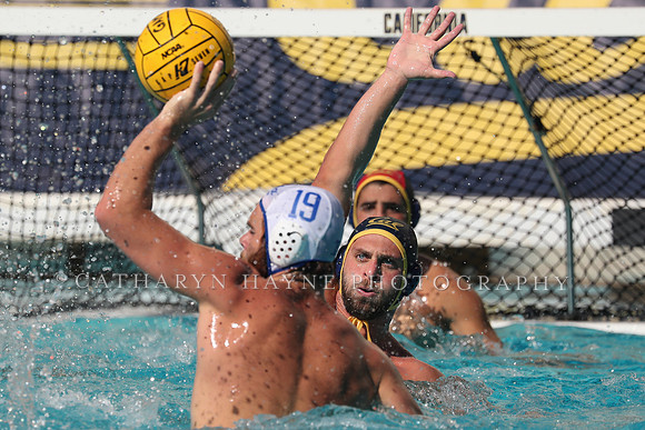 Collegiate Men's Water Polo: California Golden Bears vs UCLA Bruins