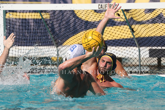 Collegiate Men's Water Polo: California Golden Bears vs UCLA Bruins