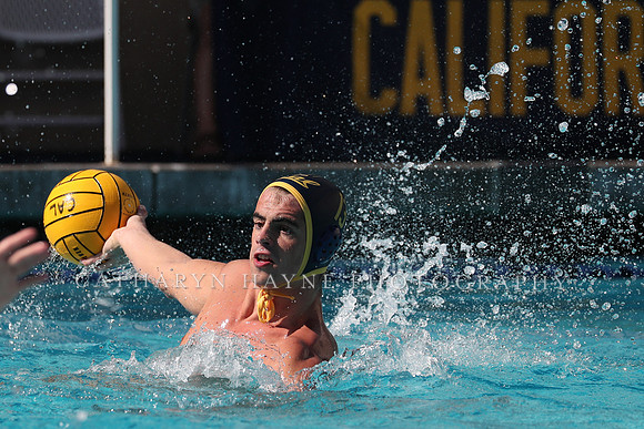 Collegiate Men's Water Polo: California Golden Bears vs UCLA Bruins