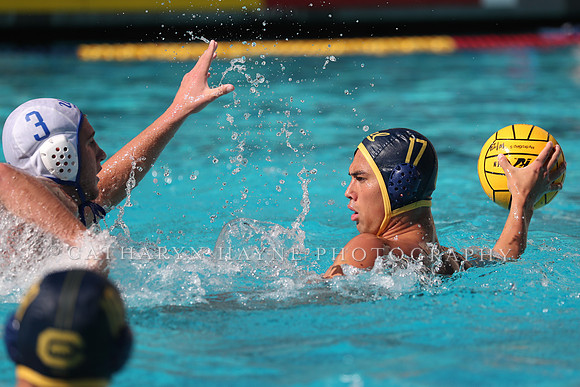Collegiate Men's Water Polo: California Golden Bears vs UCLA Bruins