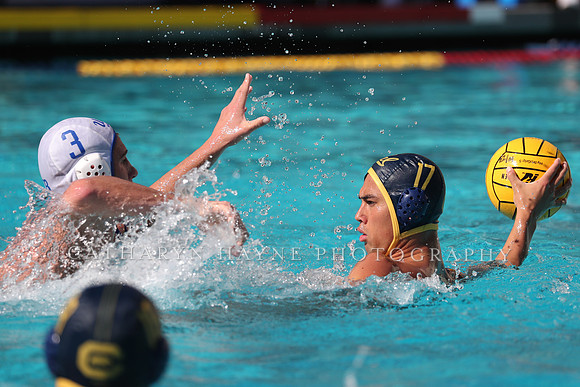 Collegiate Men's Water Polo: California Golden Bears vs UCLA Bruins