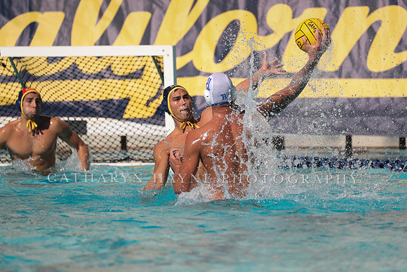 Collegiate Men's Water Polo: California Golden Bears vs UCLA Bruins