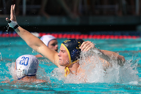 Collegiate Men's Water Polo: California Golden Bears vs UCLA Bruins