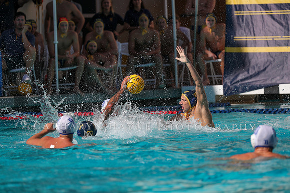 Collegiate Men's Water Polo: California Golden Bears vs UCLA Bruins
