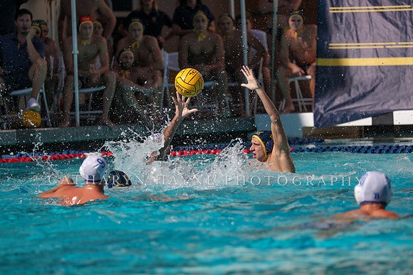 Collegiate Men's Water Polo: California Golden Bears vs UCLA Bruins
