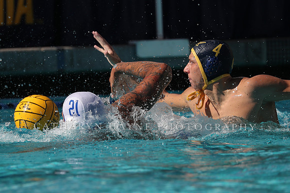 Collegiate Men's Water Polo: California Golden Bears vs UCLA Bruins