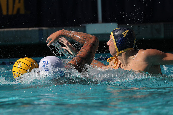 Collegiate Men's Water Polo: California Golden Bears vs UCLA Bruins