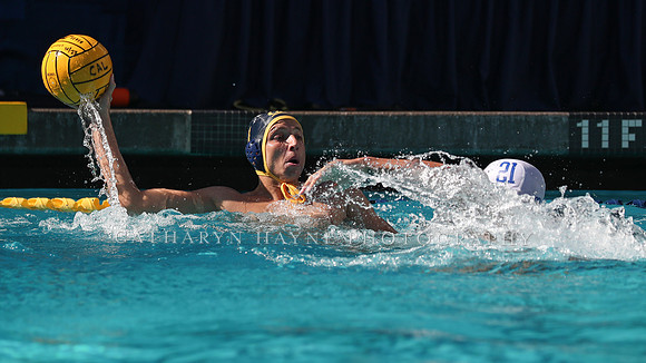 Collegiate Men's Water Polo: California Golden Bears vs UCLA Bruins
