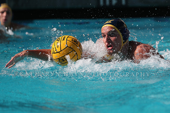 Collegiate Men's Water Polo: California Golden Bears vs UCLA Bruins