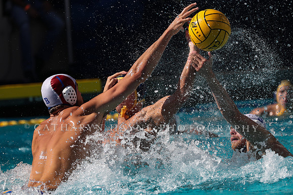 Collegiate Men's Water Polo: California Golden Bears vs UCLA Bruins