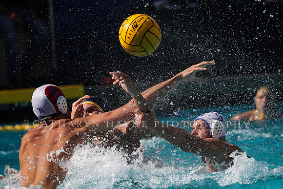 Collegiate Men's Water Polo: California Golden Bears vs UCLA Bruins