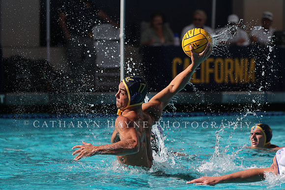 Collegiate Men's Water Polo: California Golden Bears vs UCLA Bruins