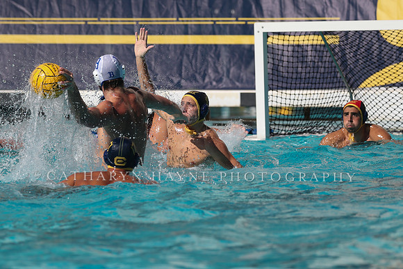 Collegiate Men's Water Polo: California Golden Bears vs UCLA Bruins