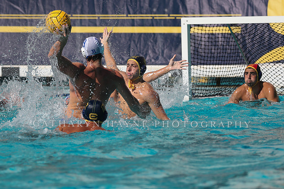 Collegiate Men's Water Polo: California Golden Bears vs UCLA Bruins